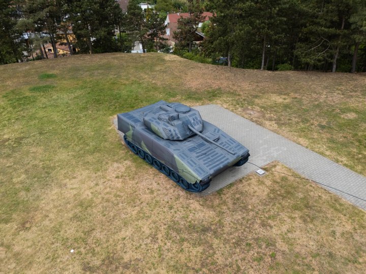 Decoy_CV90_06